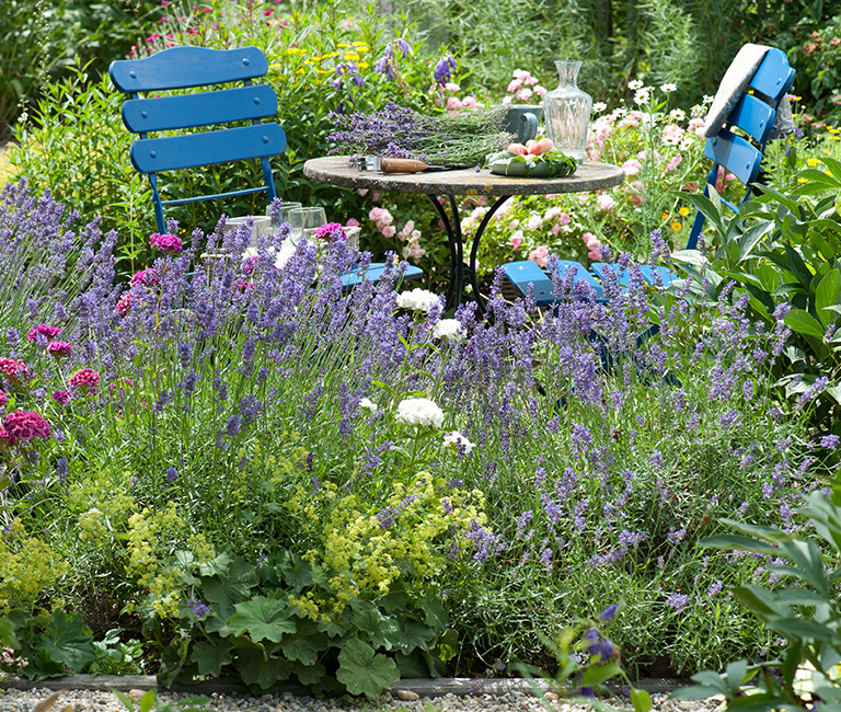Mein schöner Garten E-Paper - Zeitschrift
