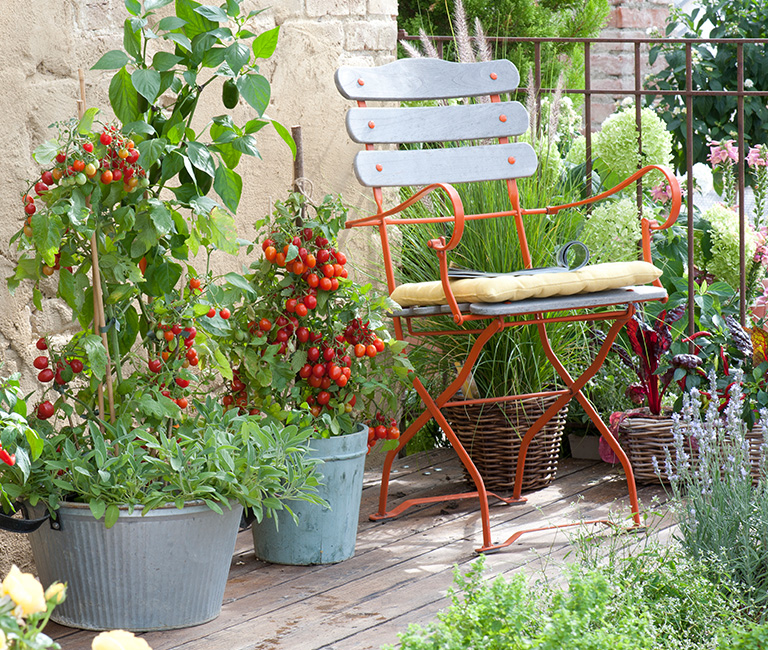 Mein schöner Garten Spezial - Zeitschrift