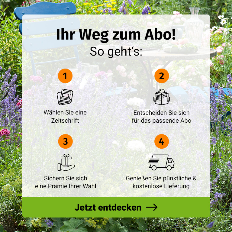 Ihr Weg zum Abo - So gehts!