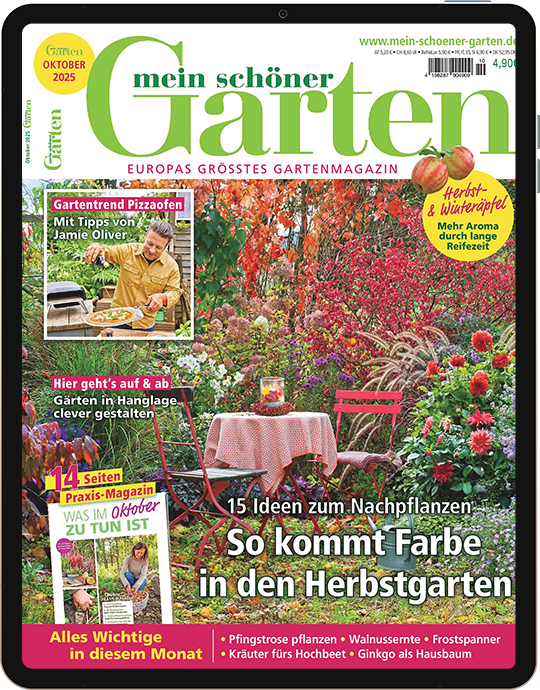Mein schöner Garten - E-Paper