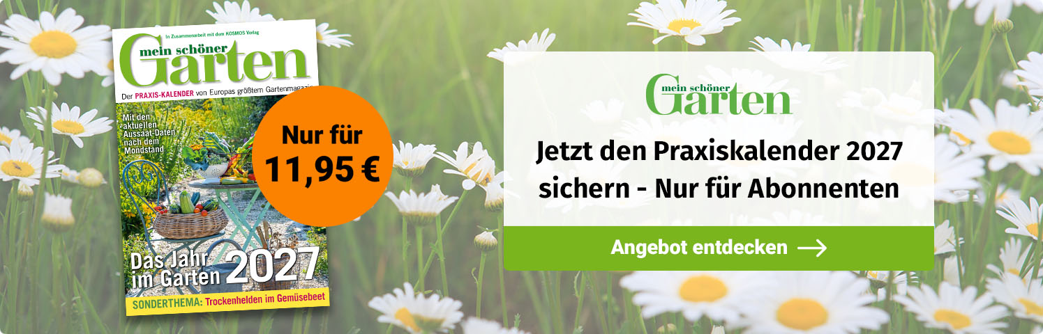 Mein schöner Garten Praxiskalender 2027 für Abonnenten