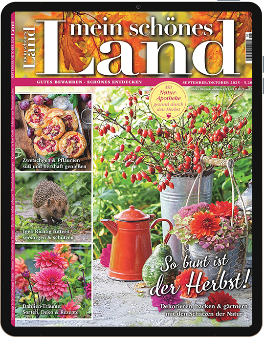Mein schönes Land - E-Paper