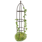 Mein schöner Garten | Abo & Produkte direkt aus dem Verlag