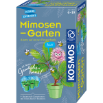Mimosen-Garten 