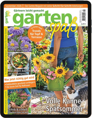 Einzelheft BUNTE Digital