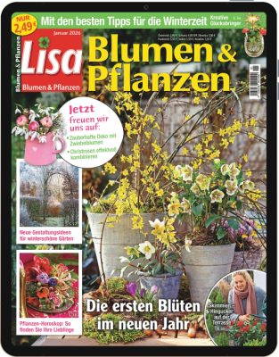 Lisa Blumen & Pflanzen E-Paper 1/2026