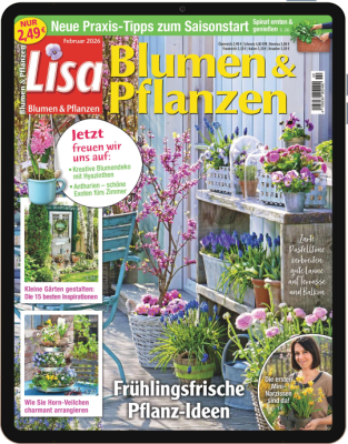 Lisa Blumen & Pflanzen E-Paper 2/2026