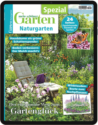 Einzelheft BUNTE Digital