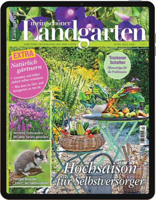 Einzelheft BUNTE Digital