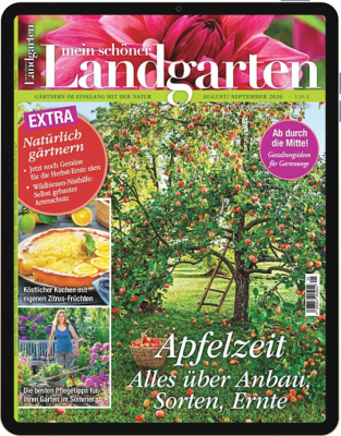 Einzelheft BUNTE Digital