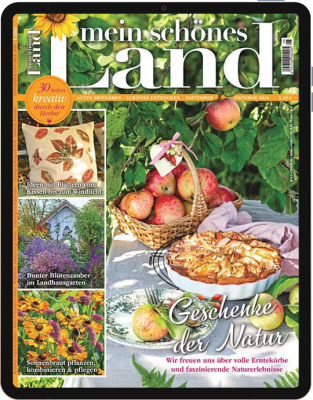 Mein schönes Land E-Paper