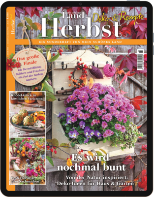 Mein schönes Land "Herbst" E-Paper
