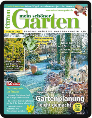 Mein schöner Garten E-Paper 