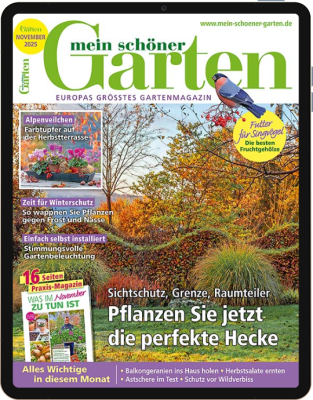 Mein schöner Garten E-Paper 