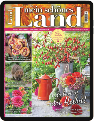 Mein schönes Land E-Paper 