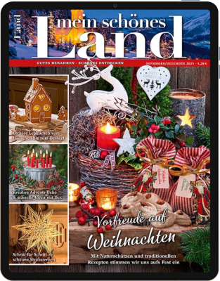 Mein schönes Land E-Paper 