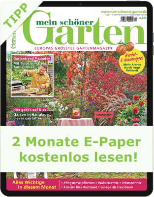 Mein schöner Garten E-Paper Angebot 