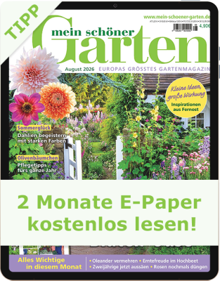 Mein schöner Garten E-Paper Angebot