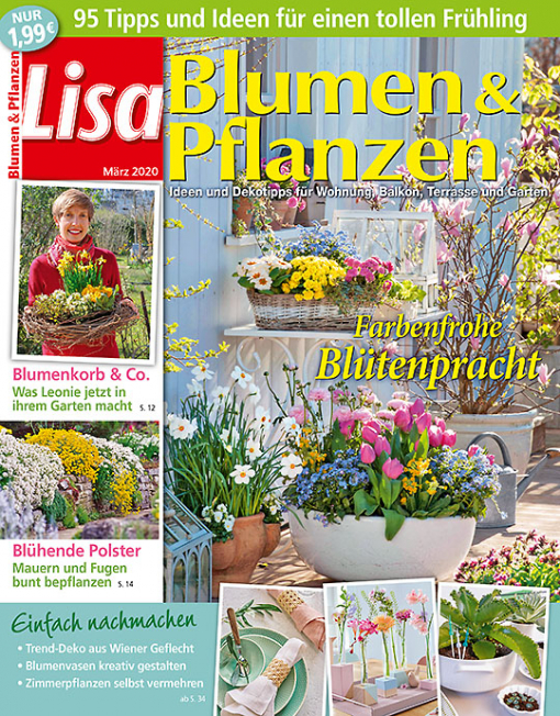 Lisa Blumen Pflanzen