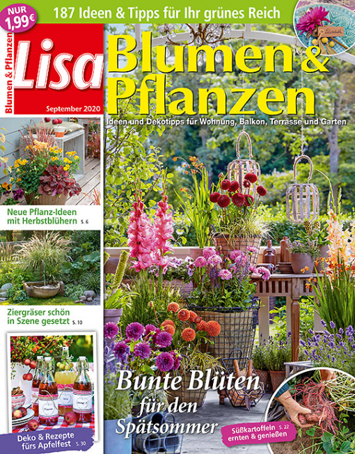 Lisa Blumen Pflanzen