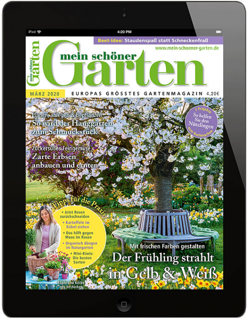 Mein Schoner Garten Epaper