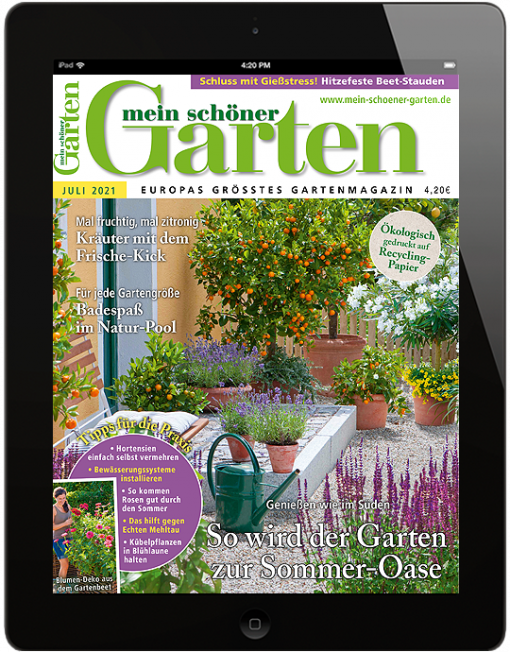 Mein Schoner Garten Als Epaper Lesen Offizieller Abo Shop