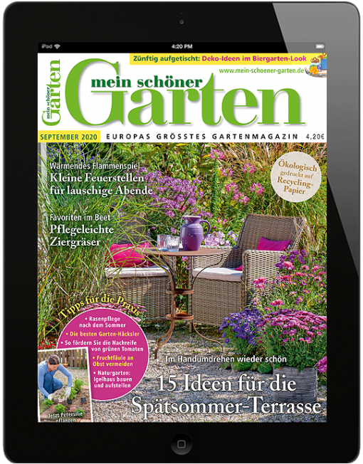 Lesen Sie Mein Schoner Garten Zum Sonderpreis