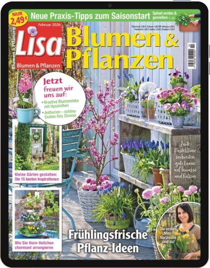 Lisa Blumen & Pflanzen E-Paper - Aktuelle Ausgabe