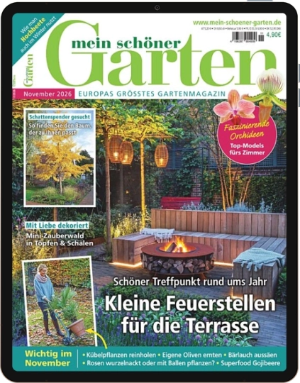Mein schöner Garten E-Paper - Aktuelle Ausgabe