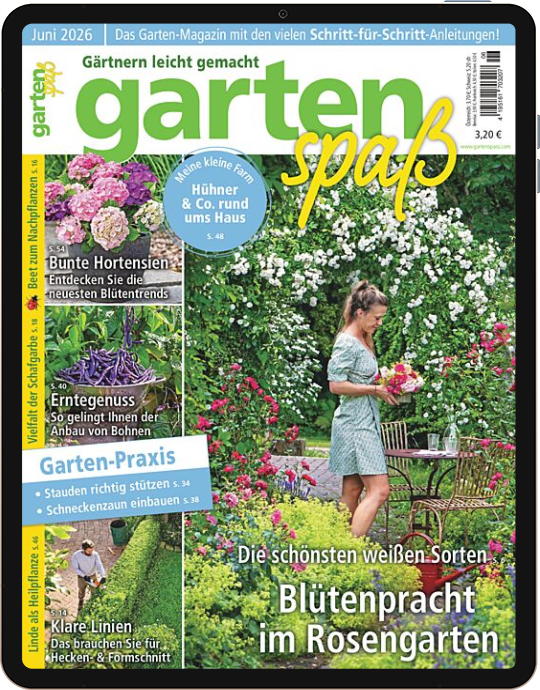Einzelheft BUNTE Digital