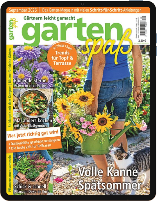 Einzelheft BUNTE Digital