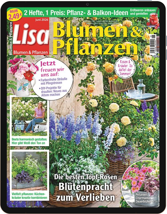 Einzelheft BUNTE Digital