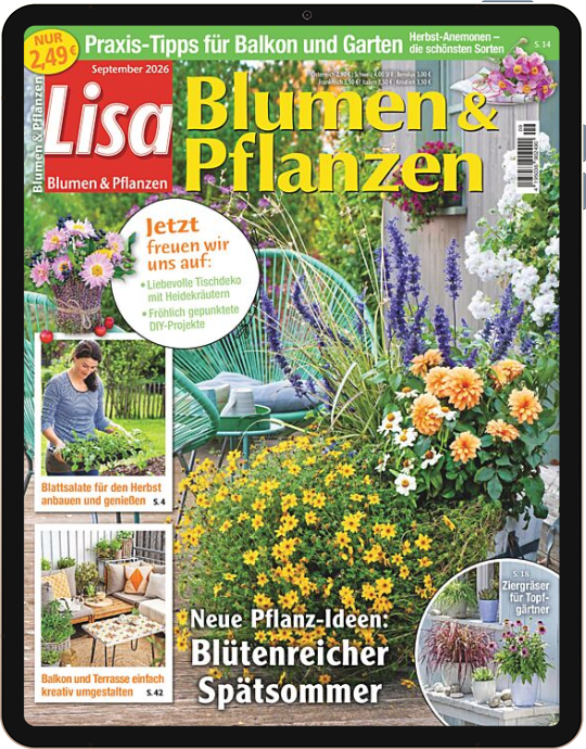 Einzelheft BUNTE Digital
