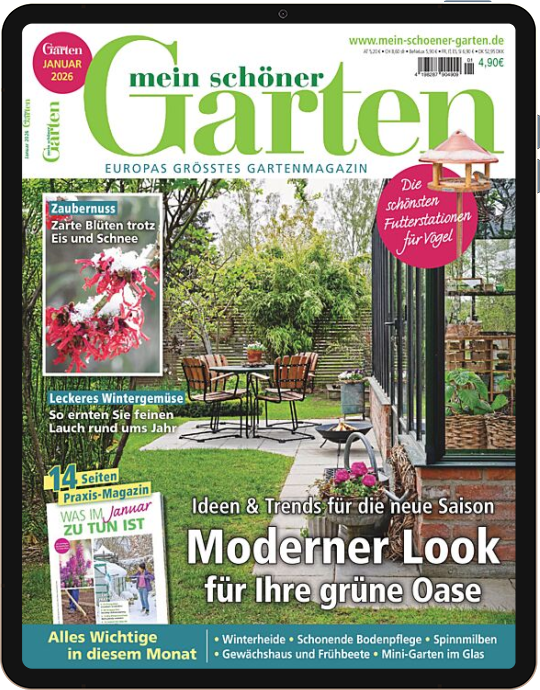 Mein schöner Garten E-Paper