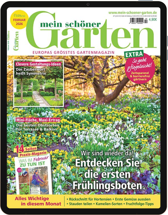 Mein schöner Garten E-Paper