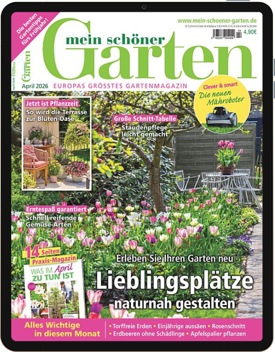 Mein schöner Garten E-Paper