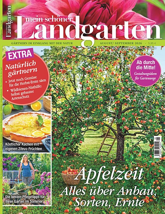 Einzelheft BUNTE Print