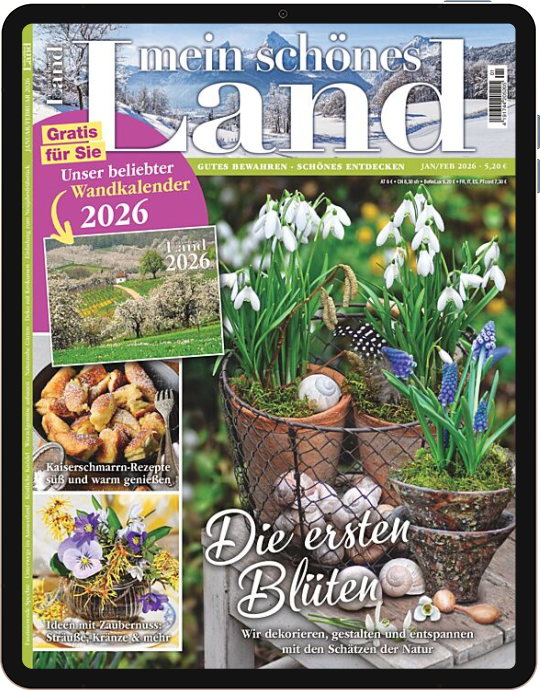 Mein schönes Land E-Paper