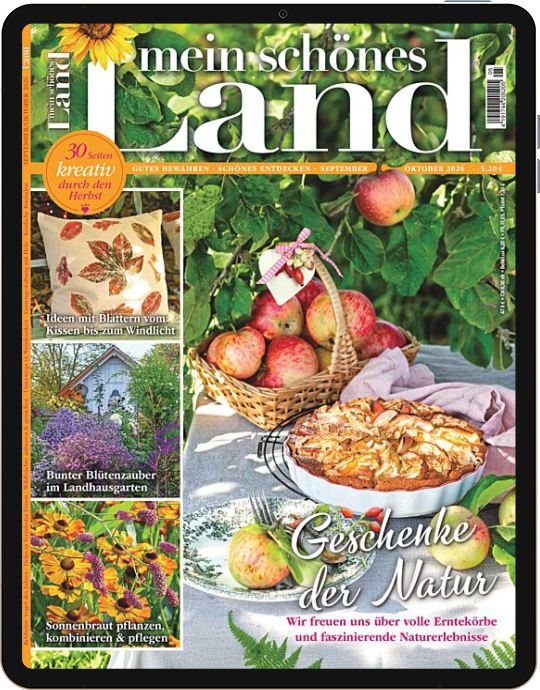 Mein schönes Land E-Paper