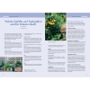 Mein Schöner Garten Praxiskalender 2027