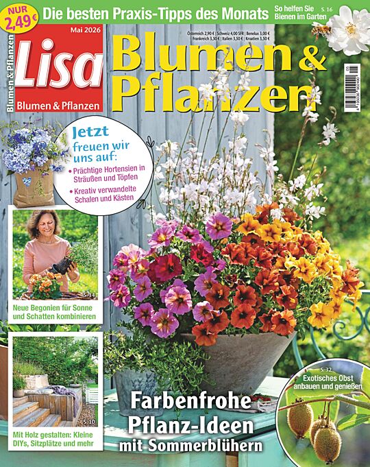 Lisa Blumen & Pflanzen JAHRES-ABO