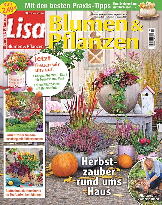 Lisa Blumen & Pflanzen FLEXIBLES ABO
