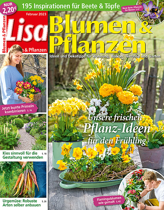 Lisa Blumen & Pflanzen MINI-ABO
