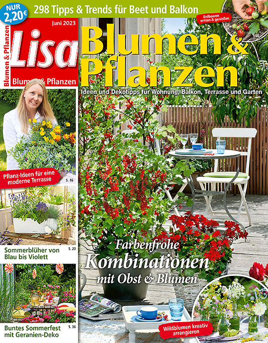 Lisa Blumen & Pflanzen MINI-ABO