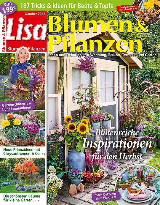 Lisa Blumen & Pflanzen SPARPAKETE