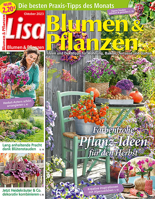 Lisa Blumen & Pflanzen FLEXIBLES ABO