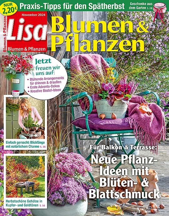 Lisa Blumen & Pflanzen JAHRES-ABO