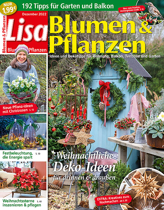 Lisa Blumen & Pflanzen GESCHENK-ABO