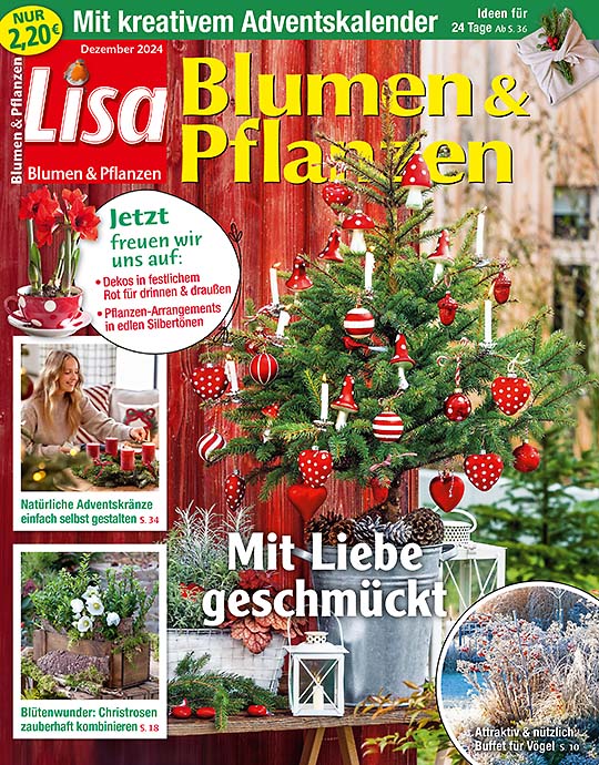 Lisa Blumen & Pflanzen GESCHENK-ABO