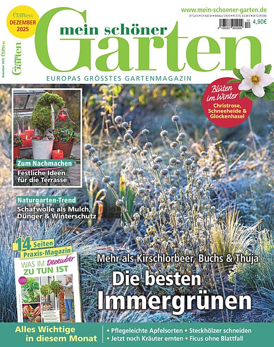 Mein schöner Garten JAHRES-ABO